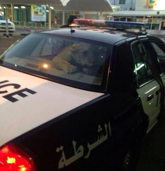 Daily Pictures. Part 2 (61 pics) Daily Pictures. Part 2 (61 pics)