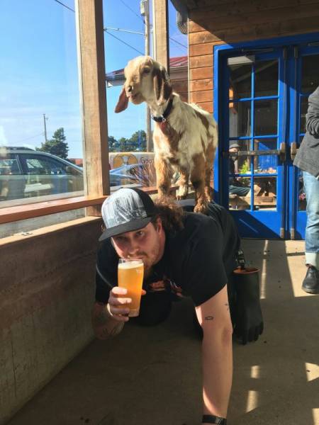 Daily Pictures. Part 2 (61 pics) Daily Pictures. Part 2 (61 pics)