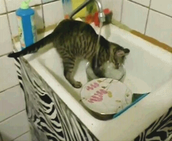 Acid GIFs, October 30 (25 gifs) Acid GIFs, October 30 (25 gifs)