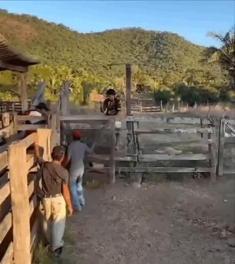 Acid GIFs, October 30 (25 gifs) Acid GIFs, October 30 (25 gifs)