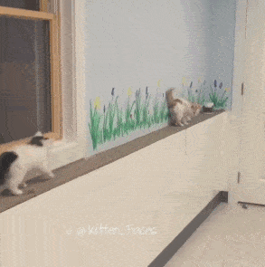 Acid GIFs, October 30 (25 gifs) Acid GIFs, October 30 (25 gifs)