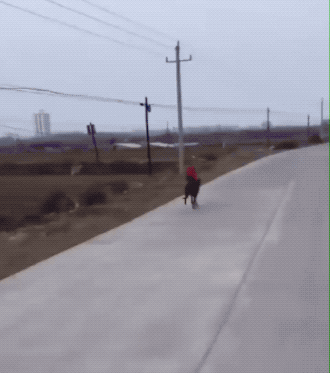 Acid GIFs, October 30 (25 gifs) Acid GIFs, October 30 (25 gifs)