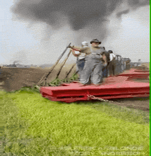 Acid GIFs, October 30 (25 gifs) Acid GIFs, October 30 (25 gifs)