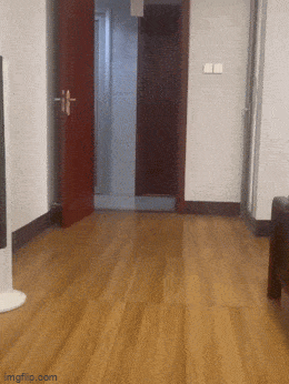 Acid GIFs, October 30 (25 gifs) Acid GIFs, October 30 (25 gifs)