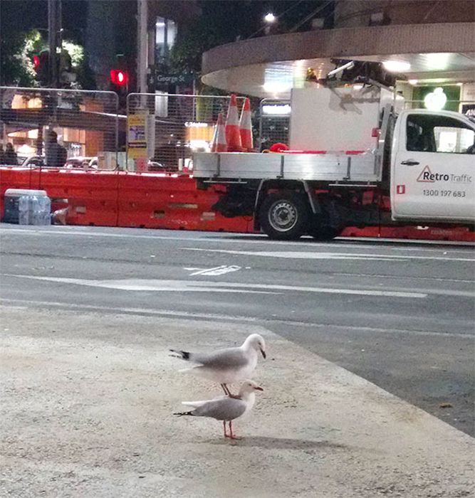 Unexpected Coincidences (23 pics) Unexpected Coincidences (23 pics)