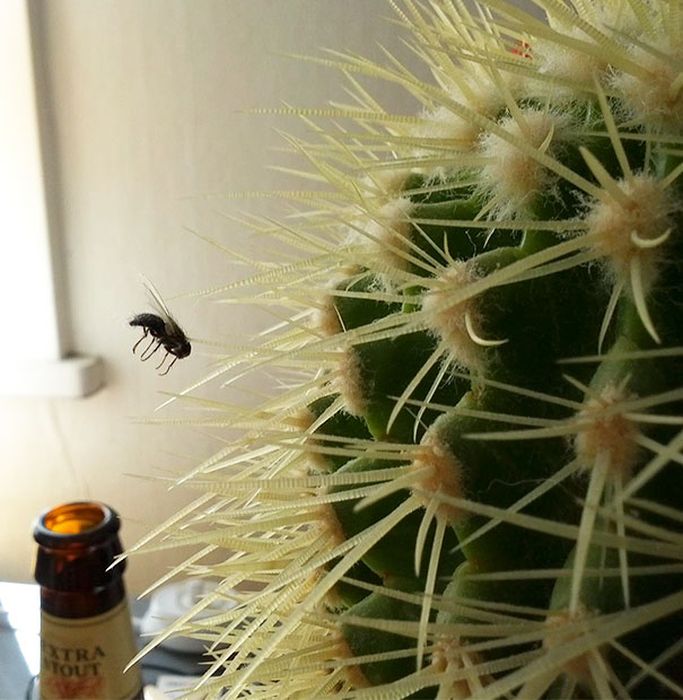 Unexpected Coincidences (23 pics) Unexpected Coincidences (23 pics)