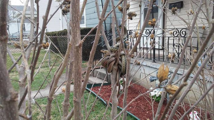 Daily Pictures. Part 1 (64 pics) Daily Pictures. Part 1 (64 pics)