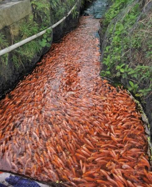 Daily Pictures. Part 1 (64 pics) Daily Pictures. Part 1 (64 pics)