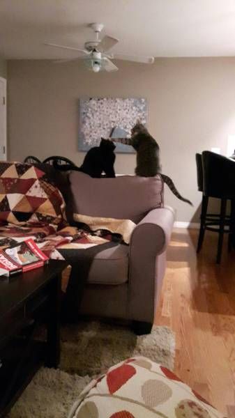 Daily Pictures. Part 1 (64 pics) Daily Pictures. Part 1 (64 pics)