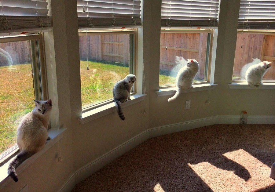 Daily Pictures. Part 1 (64 pics) Daily Pictures. Part 1 (64 pics)