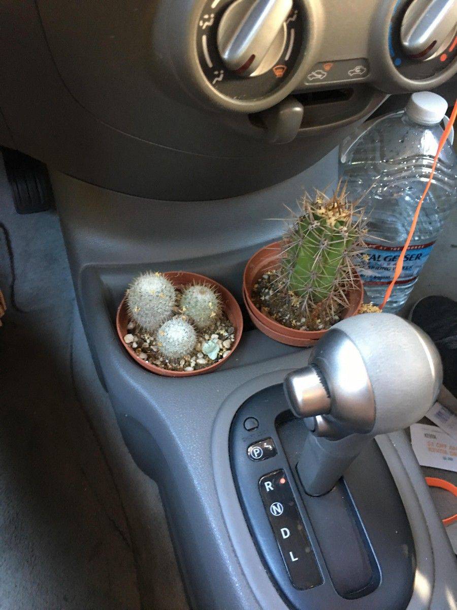 Daily Pictures. Part 1 (64 pics) Daily Pictures. Part 1 (64 pics)