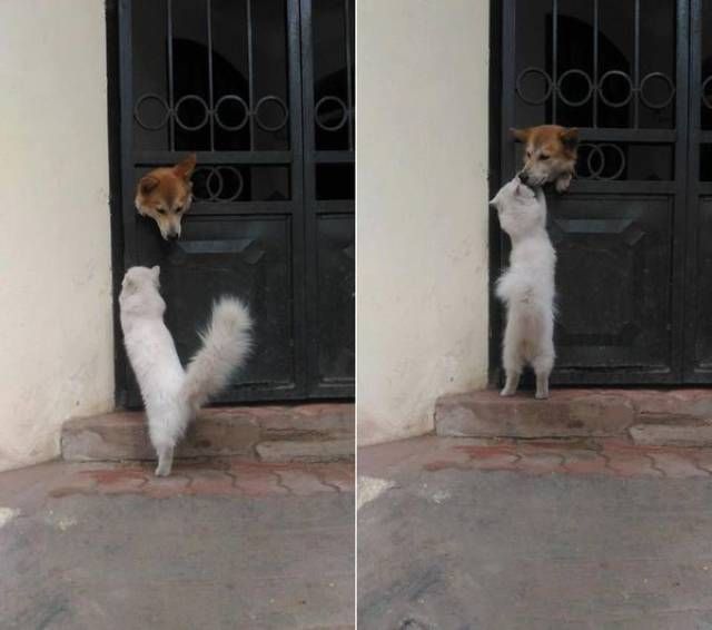 Daily Pictures. Part 1 (64 pics) Daily Pictures. Part 1 (64 pics)