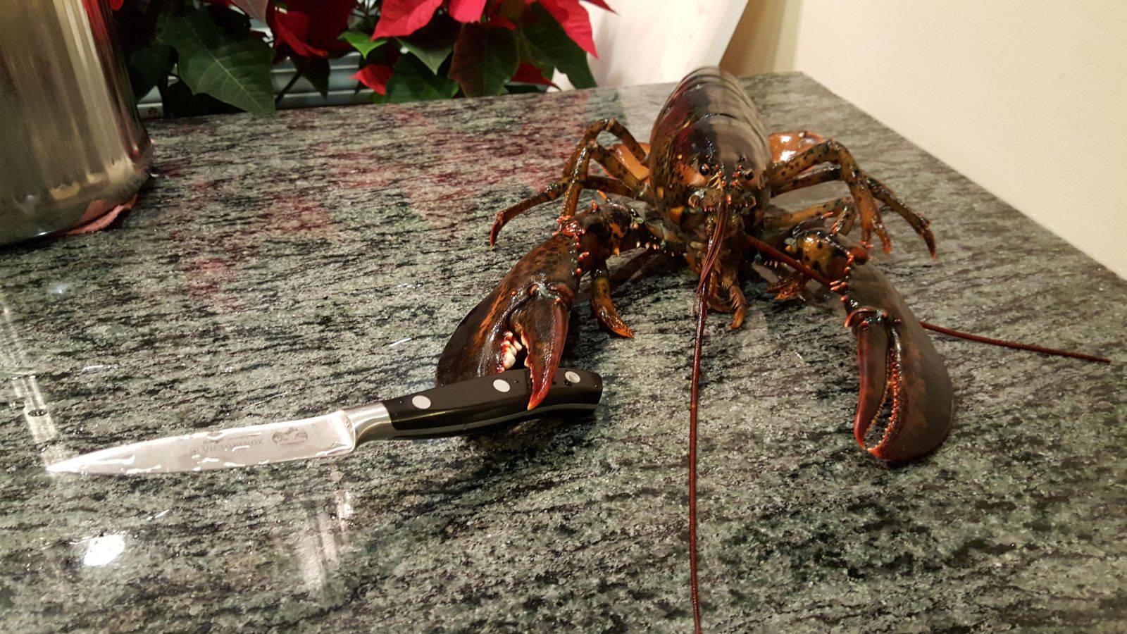 Daily Pictures. Part 2 (63 pics) Daily Pictures. Part 2 (63 pics)