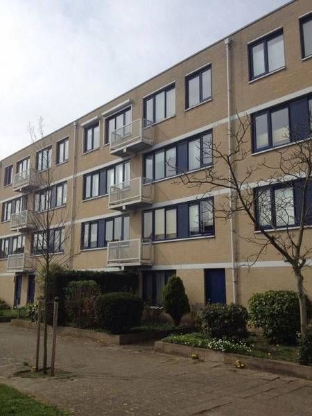 Daily Pictures. Part 1 (64 pics) Daily Pictures. Part 1 (64 pics)