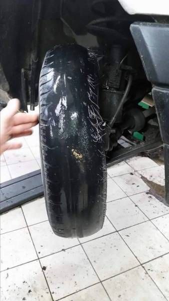 Daily Pictures. Part 1 (64 pics) Daily Pictures. Part 1 (64 pics)