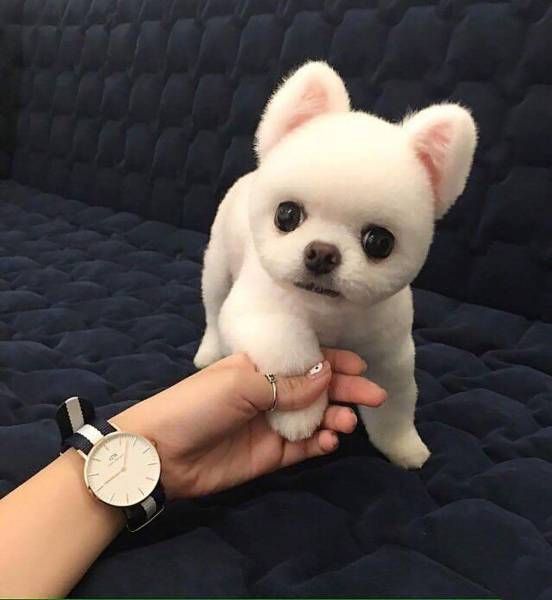 Daily Pictures. Part 1 (64 pics) Daily Pictures. Part 1 (64 pics)