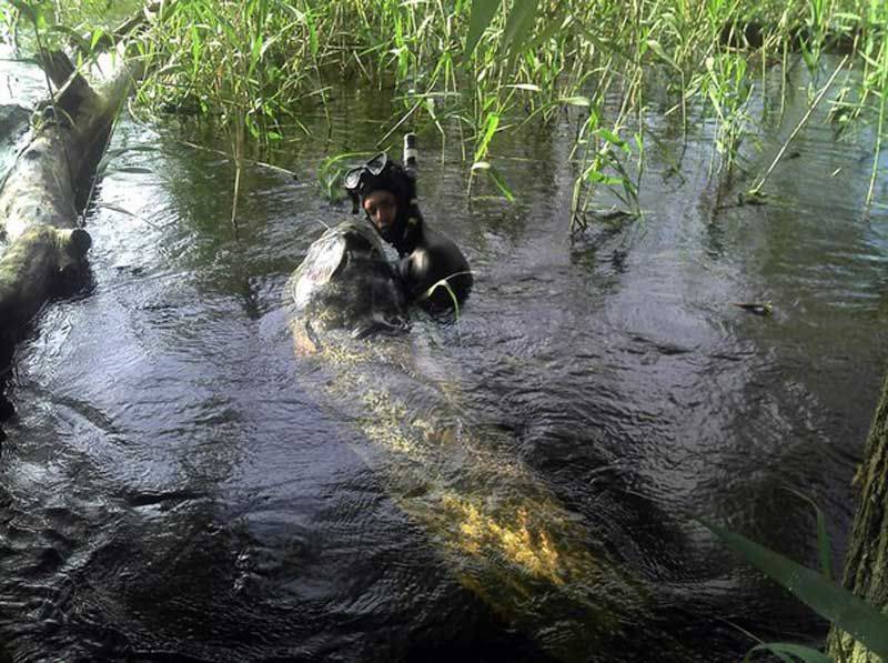 Daily Pictures. Part 1 (64 pics) Daily Pictures. Part 1 (64 pics)