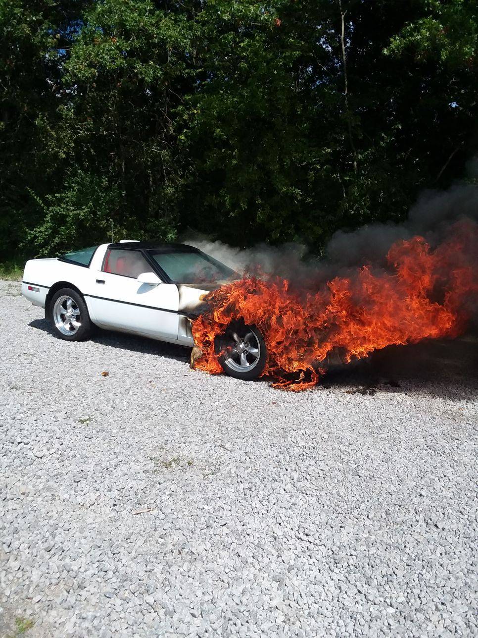 Daily Pictures. Part 2 (63 pics) Daily Pictures. Part 2 (63 pics)