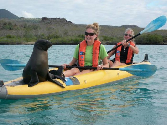 Daily Pictures. Part 1 (64 pics) Daily Pictures. Part 1 (64 pics)