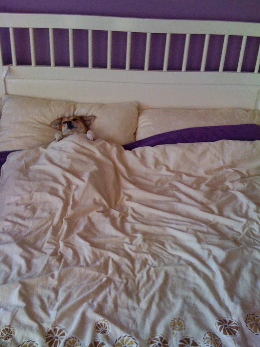 Daily Pictures. Part 2 (63 pics) Daily Pictures. Part 2 (63 pics)