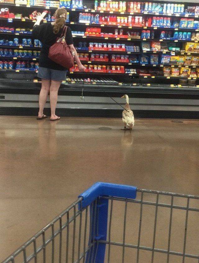 Daily Pictures. Part 1 (64 pics) Daily Pictures. Part 1 (64 pics)