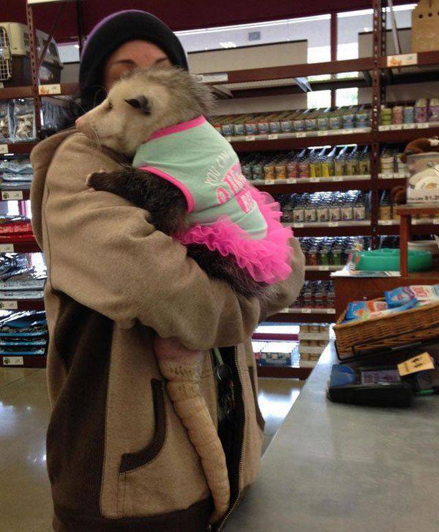 Daily Pictures. Part 2 (63 pics) Daily Pictures. Part 2 (63 pics)