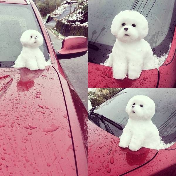 Daily Pictures. Part 2 (63 pics) Daily Pictures. Part 2 (63 pics)