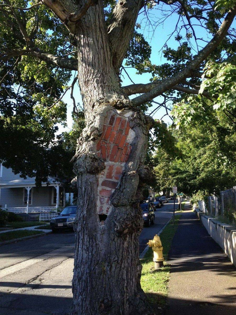 Daily Pictures. Part 2 (63 pics) Daily Pictures. Part 2 (63 pics)