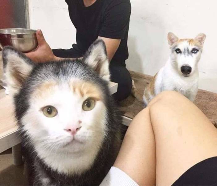 Daily Pictures. Part 2 (63 pics) Daily Pictures. Part 2 (63 pics)