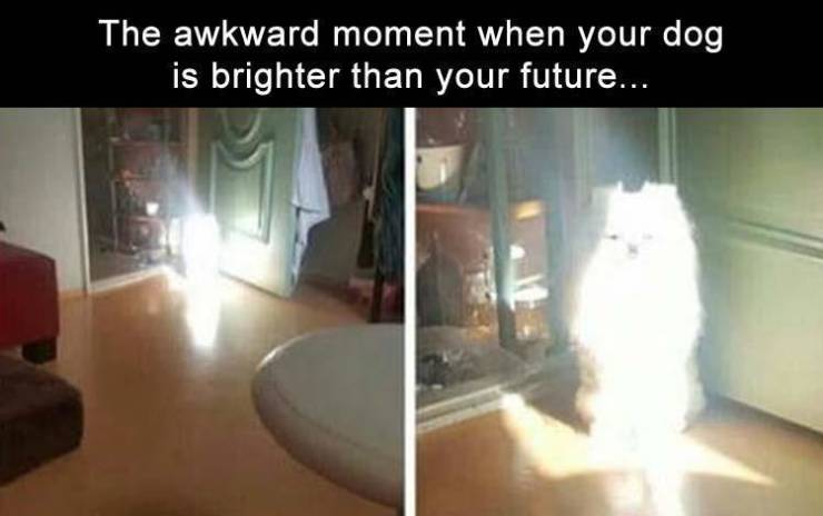 Daily Pictures. Part 2 (63 pics) Daily Pictures. Part 2 (63 pics)