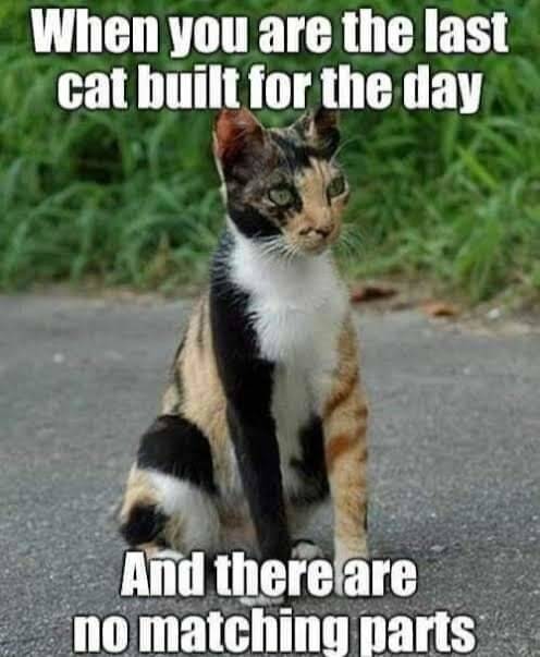 Daily Pictures. Part 2 (63 pics) Daily Pictures. Part 2 (63 pics)