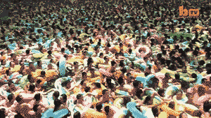 Acid GIFs, October 31 (25 gifs) Acid GIFs, October 31 (25 gifs)