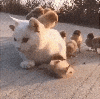 Acid GIFs, October 31 (25 gifs) Acid GIFs, October 31 (25 gifs)