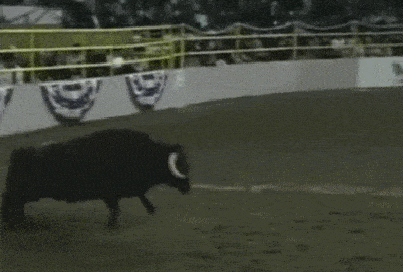 Acid GIFs, October 31 (25 gifs) Acid GIFs, October 31 (25 gifs)