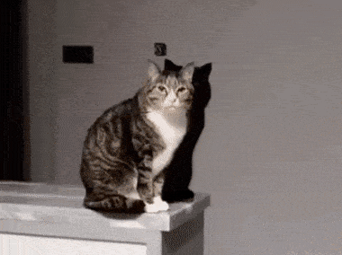 Acid GIFs, October 31 (25 gifs) Acid GIFs, October 31 (25 gifs)