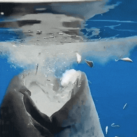 Acid GIFs, October 31 (25 gifs) Acid GIFs, October 31 (25 gifs)