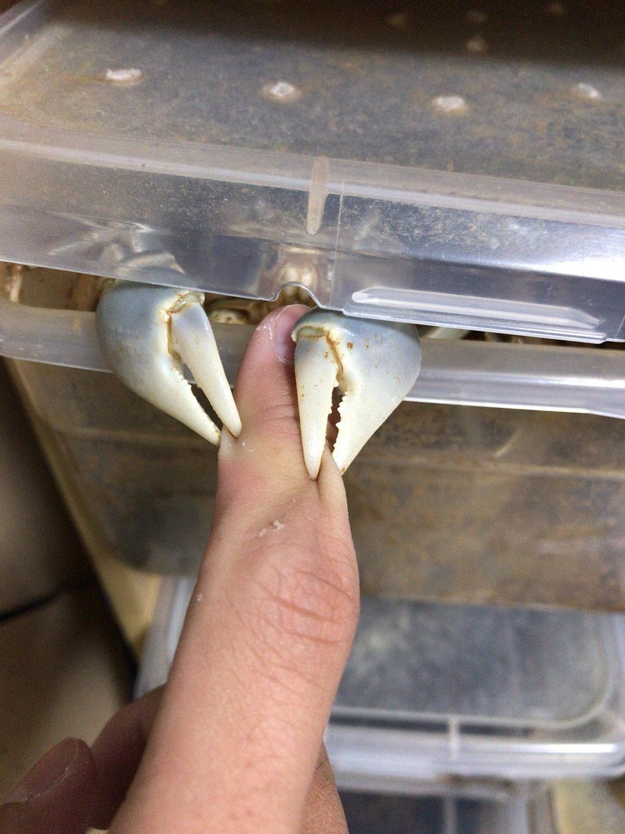 Bad Days Happen (23 pics) Bad Days Happen (23 pics)