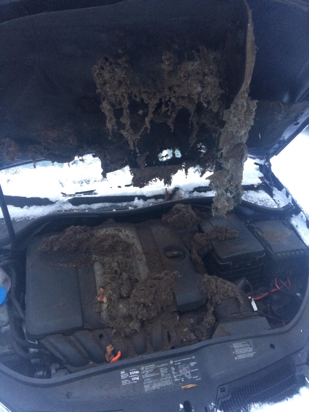 Bad Days Happen (23 pics) Bad Days Happen (23 pics)