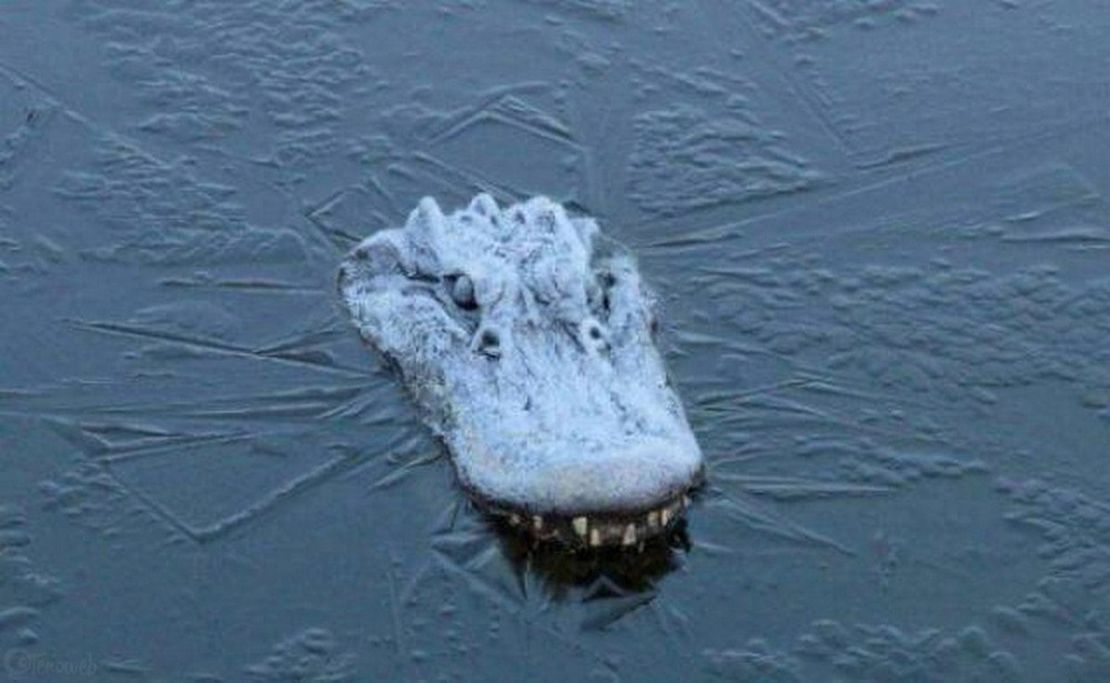 Bad Days Happen (23 pics) Bad Days Happen (23 pics)