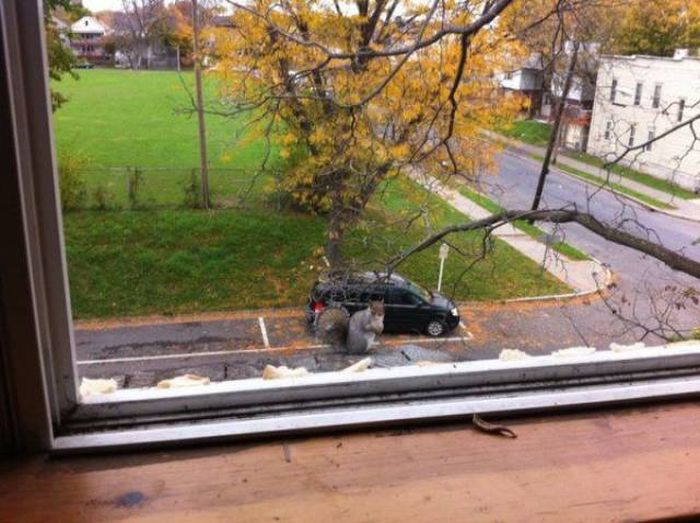 Daily Pictures. Part 1 (64 pics)