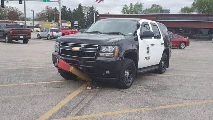 Daily Pictures. Part 1 (64 pics)