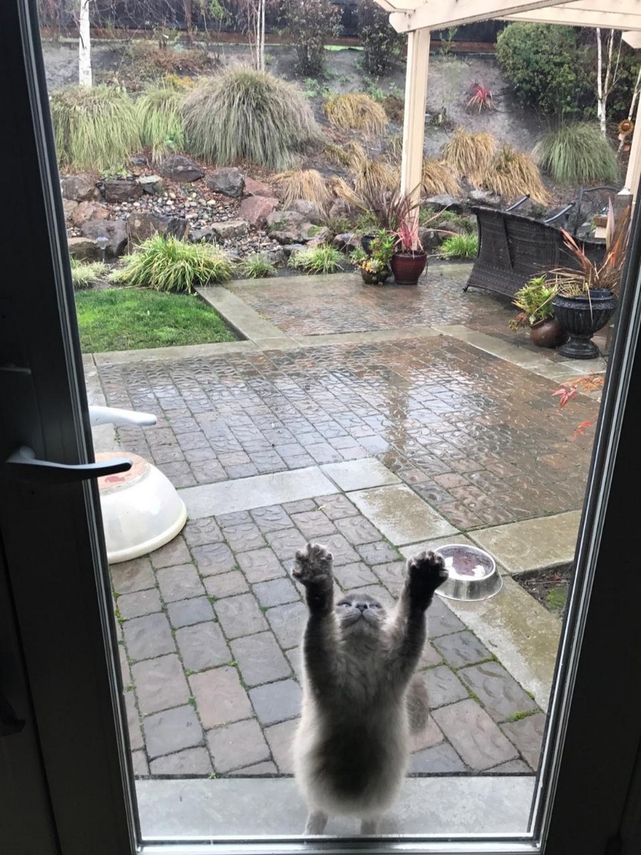 Daily Pictures. Part 1 (64 pics)