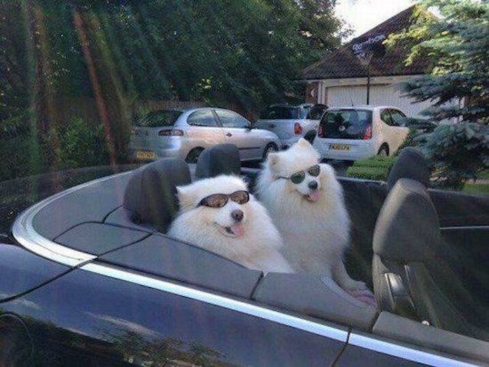 Daily Pictures. Part 1 (64 pics)