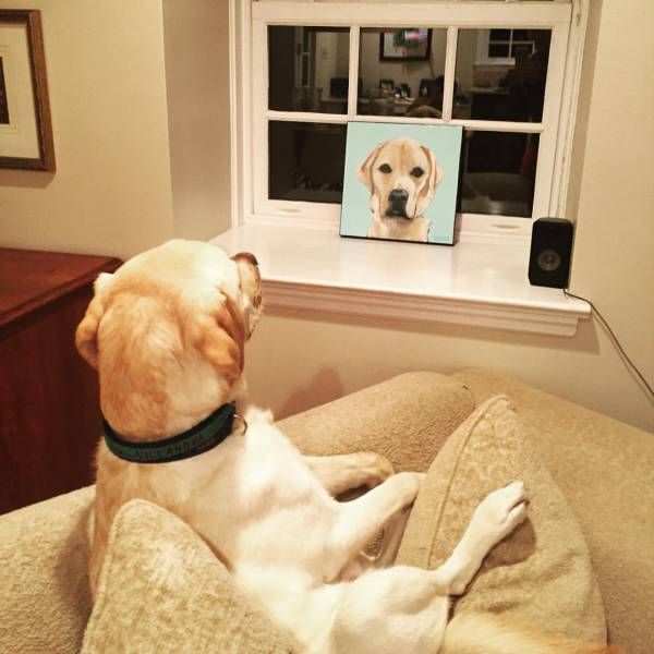 Daily Pictures. Part 1 (64 pics)