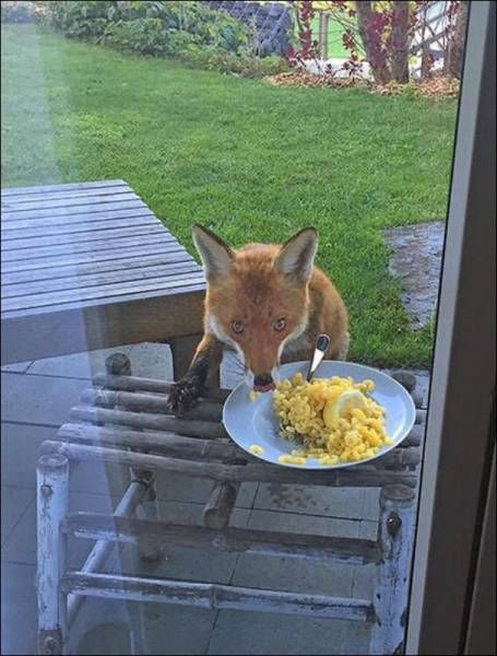 Daily Pictures. Part 1 (64 pics)