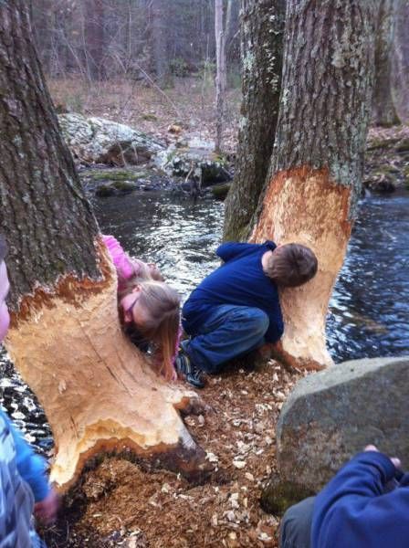 Daily Pictures. Part 1 (64 pics)