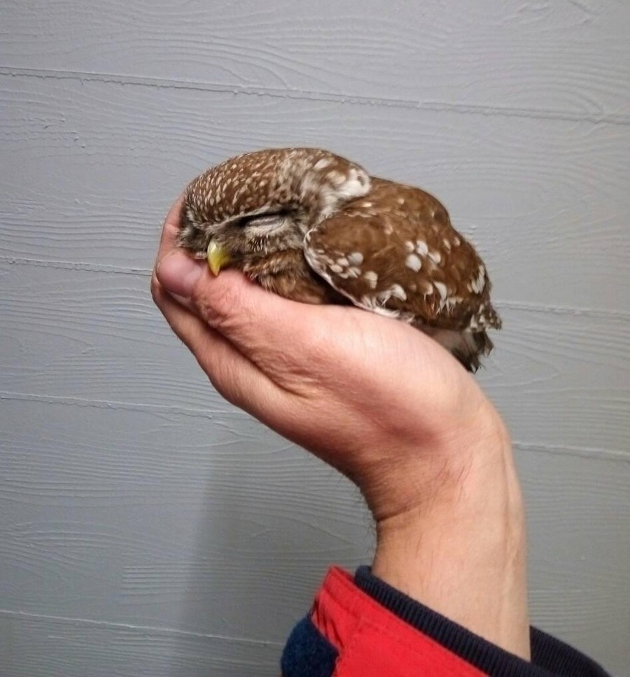 Daily Pictures. Part 1 (64 pics)