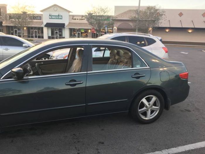 Daily Pictures. Part 1 (64 pics)