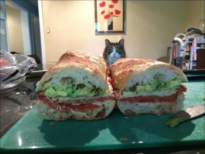 Daily Pictures. Part 1 (64 pics)