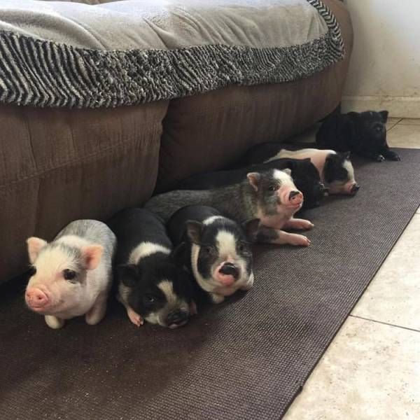 Daily Pictures. Part 1 (64 pics)